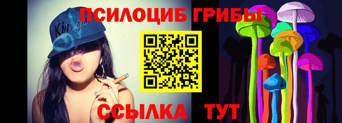 Орёл  Псилоцибиновые грибы Cubensis  Вход с VPN 